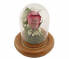 Preserved Rose in a glass dome printed with your message on the rose petals